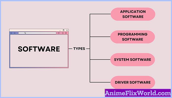 Types of Software